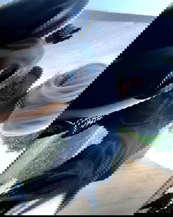 laurinchhhe image ~ Altpins