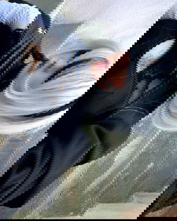 laurinchhhe image ~ Altpins