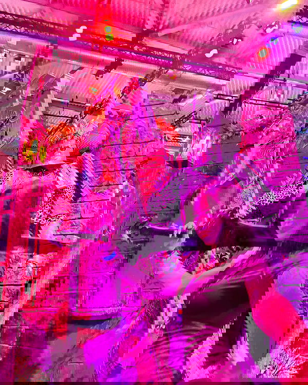 laurinchhhe image ~ Altpins