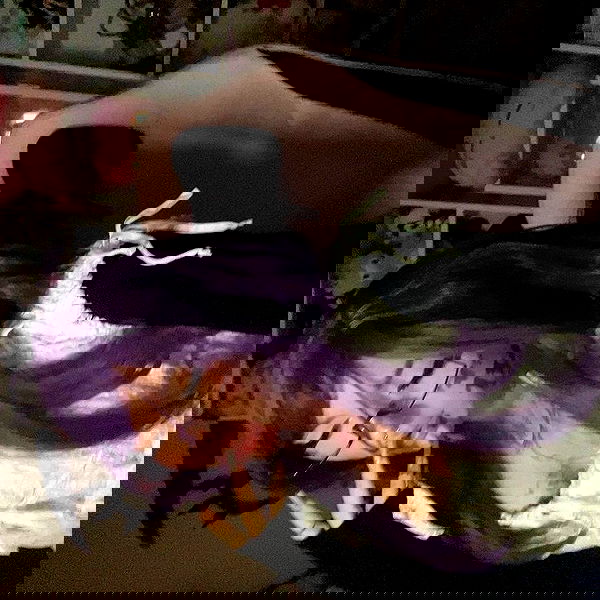 laurinchhhe image ~ Altpins