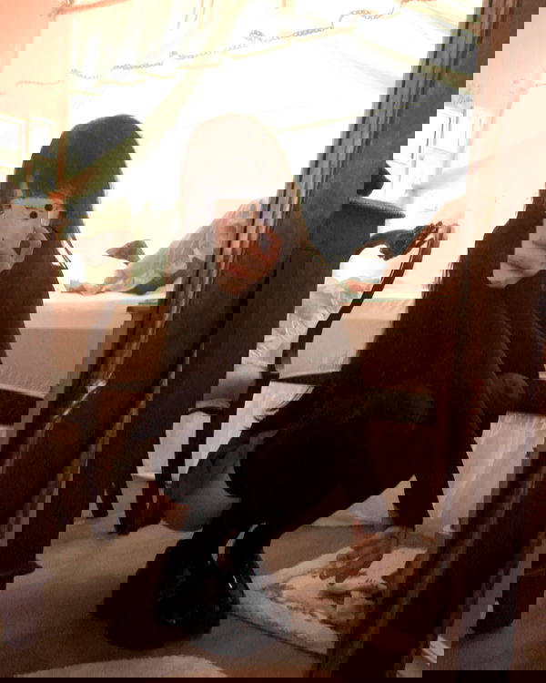 laurinchhhe image ~ Altpins