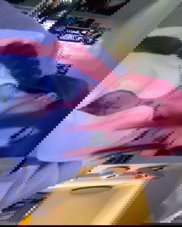 laurinchhhe image ~ Altpins