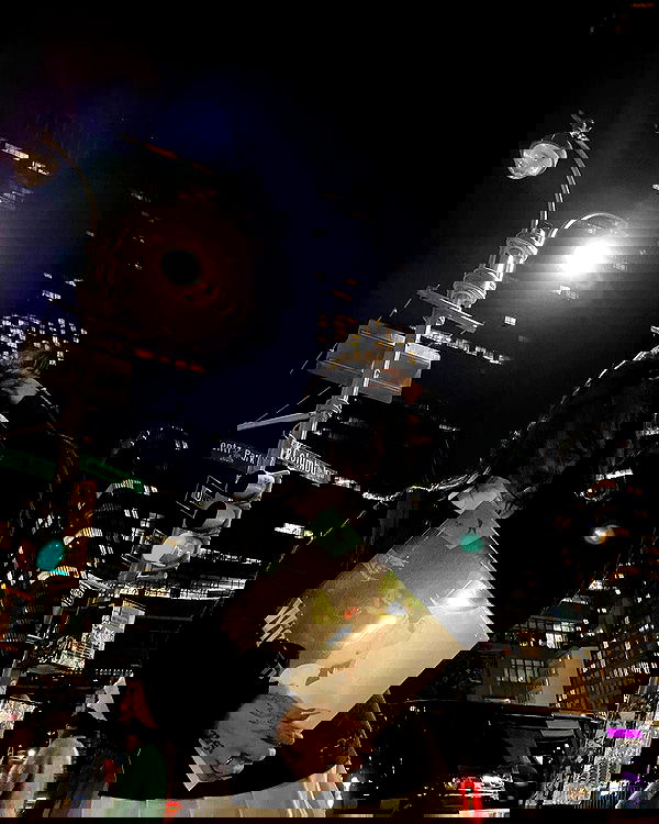 laurinchhhe image ~ Altpins