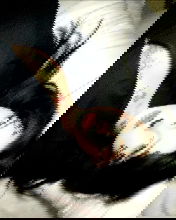 laurinchhhe image ~ Altpins