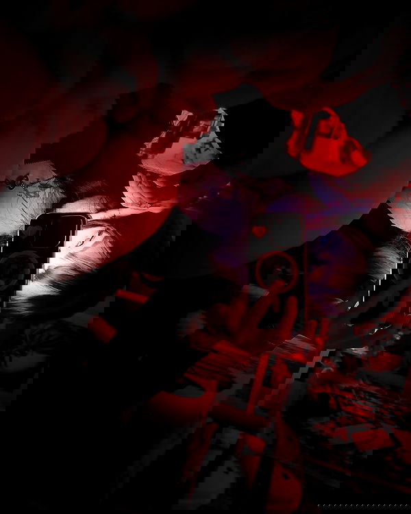 laurinchhhe image ~ Altpins