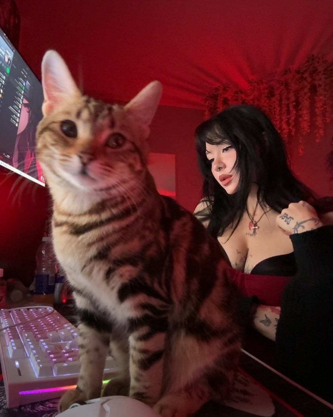 laurinchhhe instagram image archive image