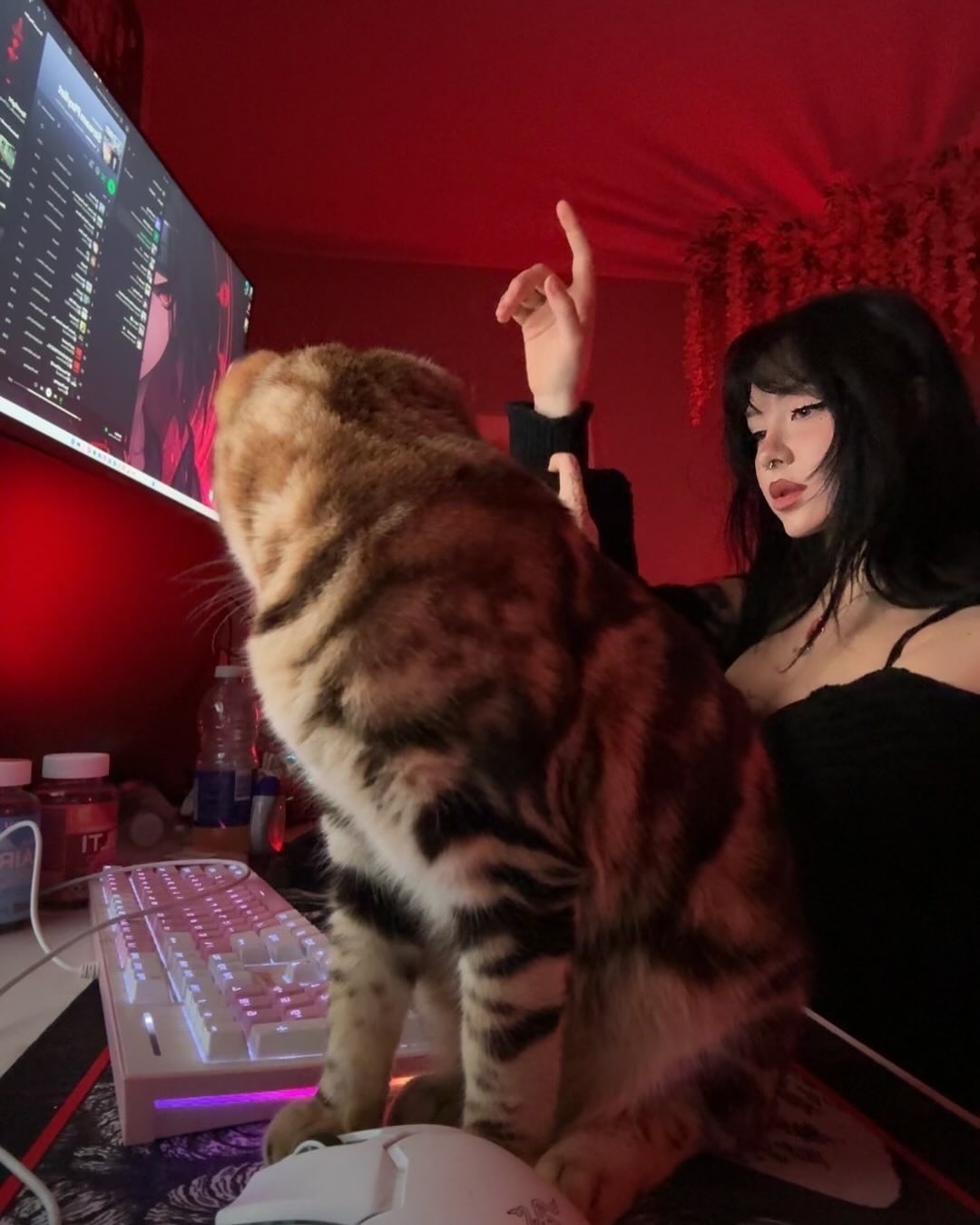 laurinchhhe instagram image archive image