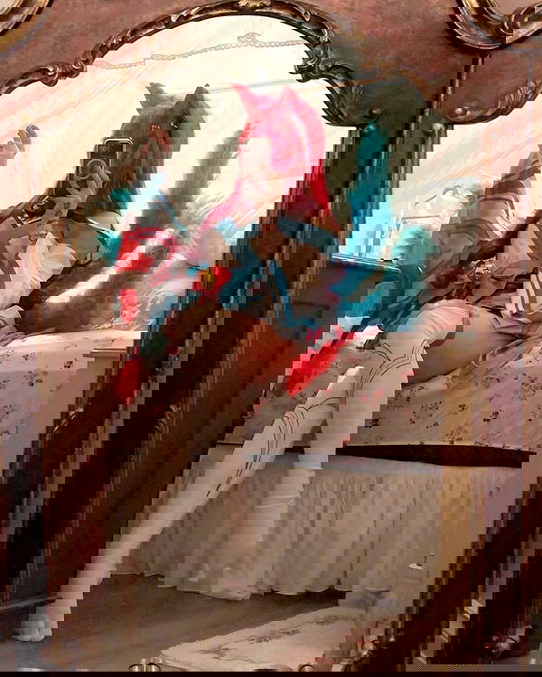 laurinchhhe image ~ Altpins