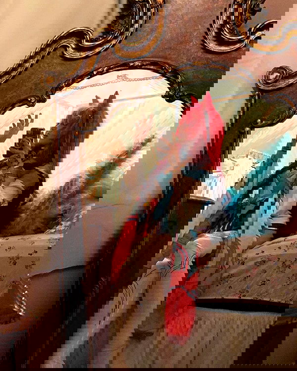 laurinchhhe image ~ Altpins