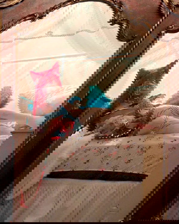 laurinchhhe image ~ Altpins