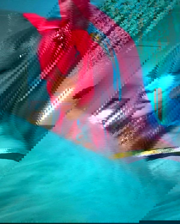 laurinchhhe image ~ Altpins