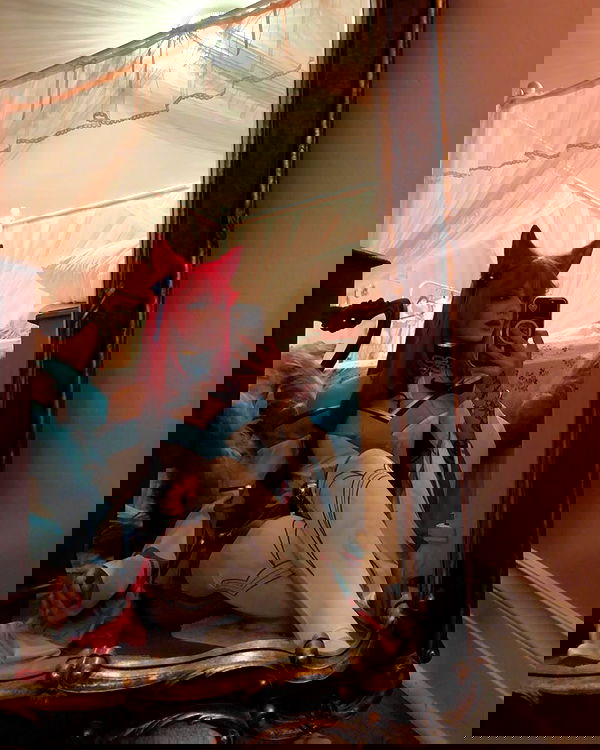 laurinchhhe image ~ Altpins