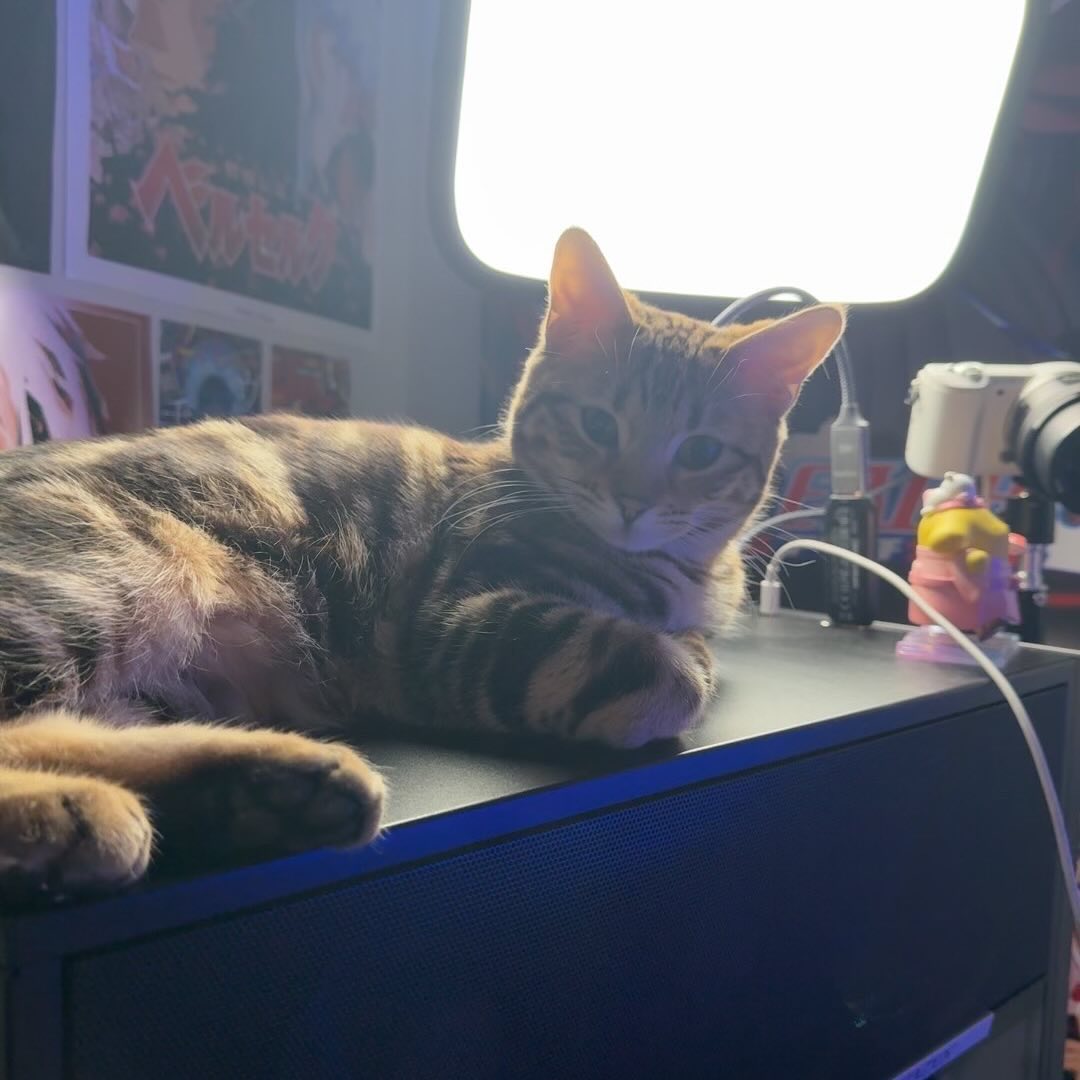 laurinchhhe instagram image archive image