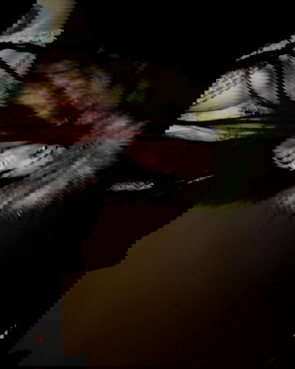 laurinchhhe image ~ Altpins