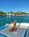 laurynluvena Altpins Profile Picture