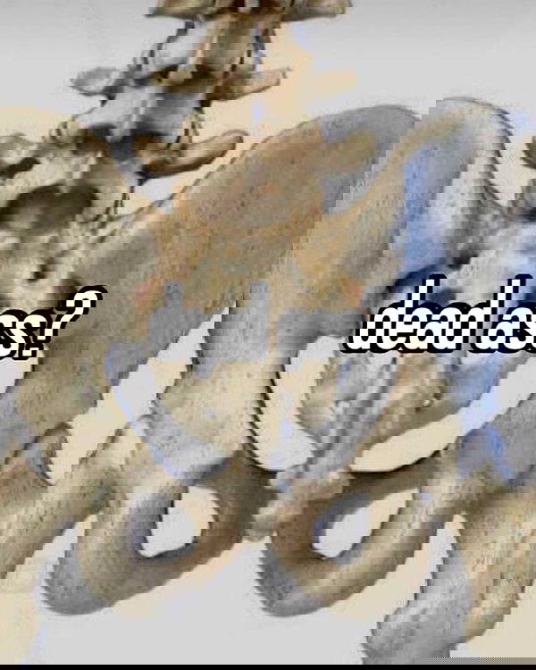 laylafleet1 laylafleet1 archive image