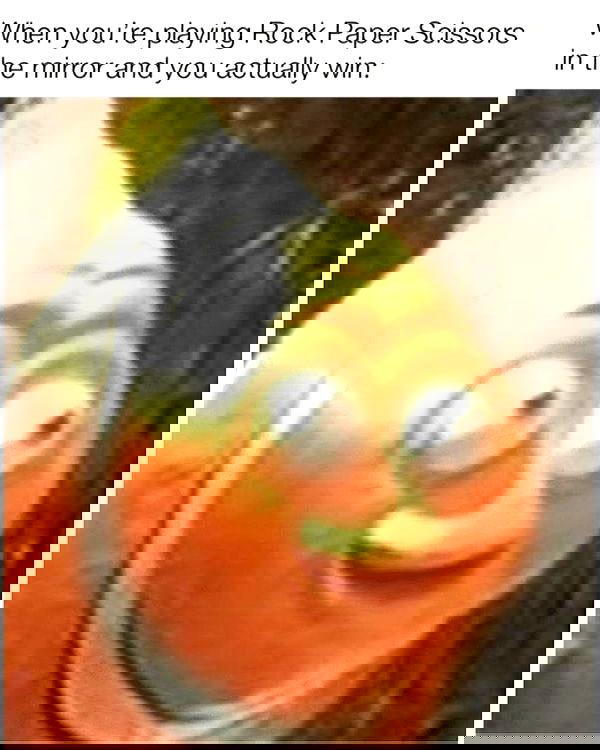 laylafleet1 laylafleet1 archive image