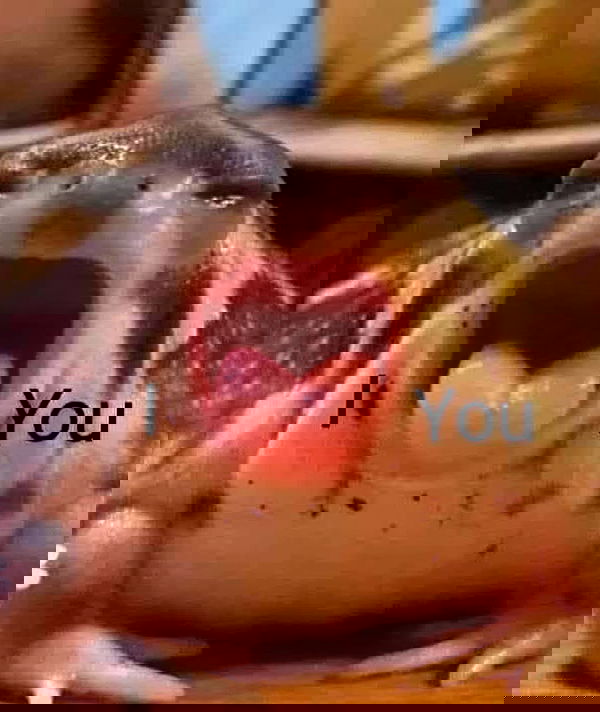 laylafleet1 laylafleet1 archive image