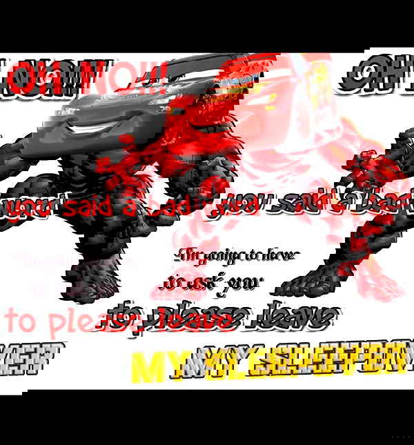 laylafleet1 laylafleet1 archive image