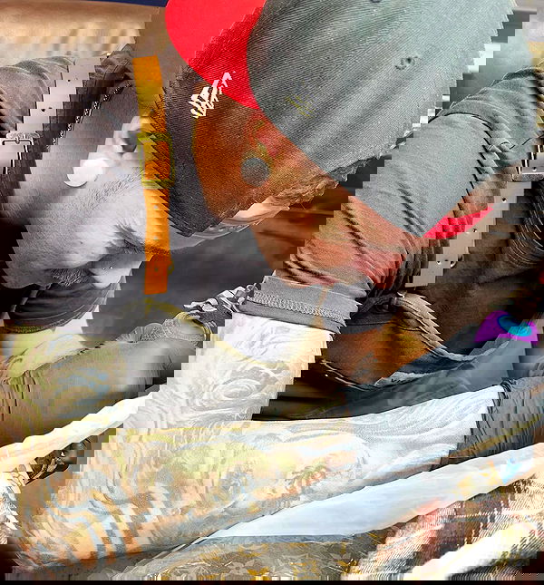 laylafleet1 laylafleet1 archive image