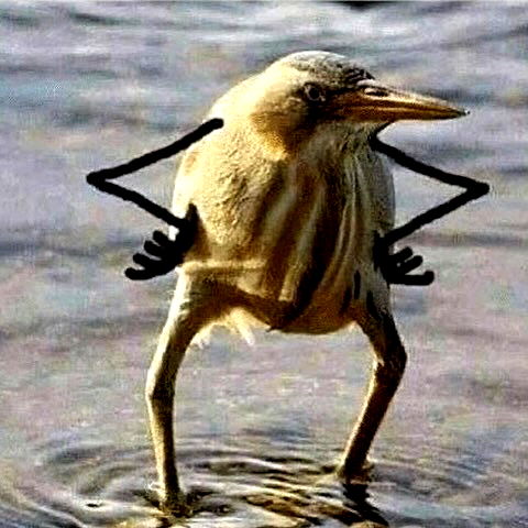 laylafleet1 laylafleet1 archive image