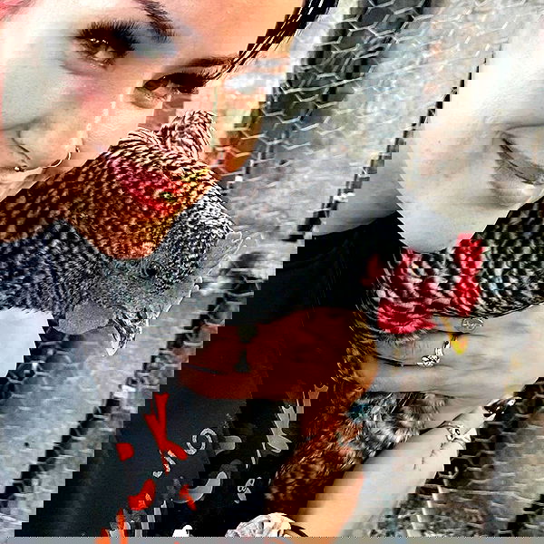 laylafleet1 laylafleet1 archive image