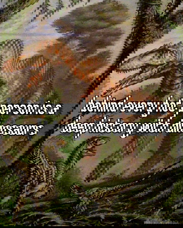 laylafleet1 laylafleet1 archive image