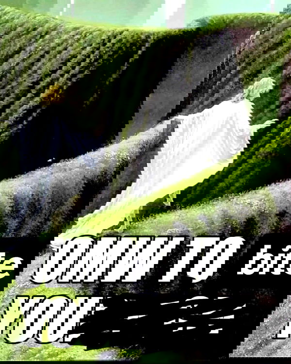 laylafleet1 laylafleet1 archive image