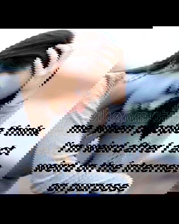 laylafleet1 laylafleet1 archive image