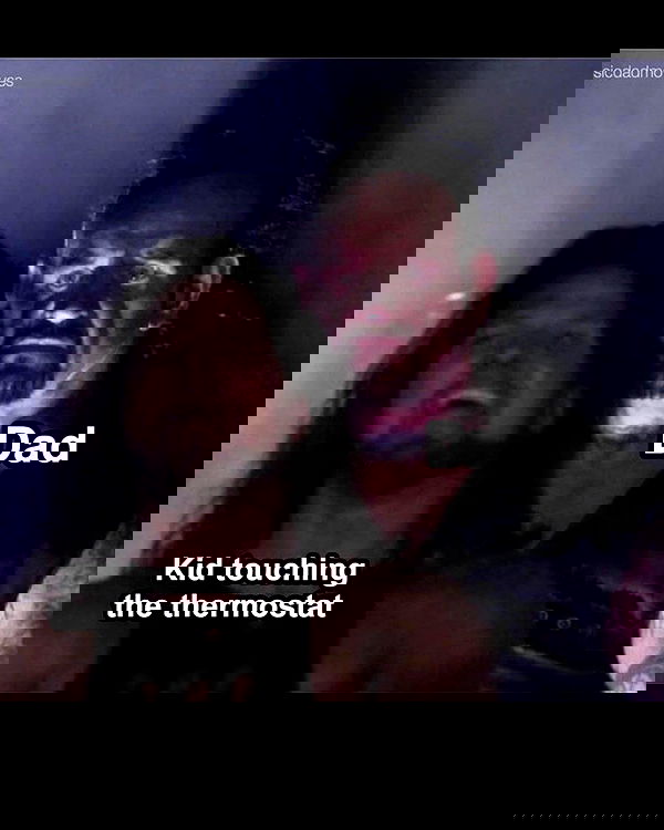 laylafleet1 laylafleet1 archive image