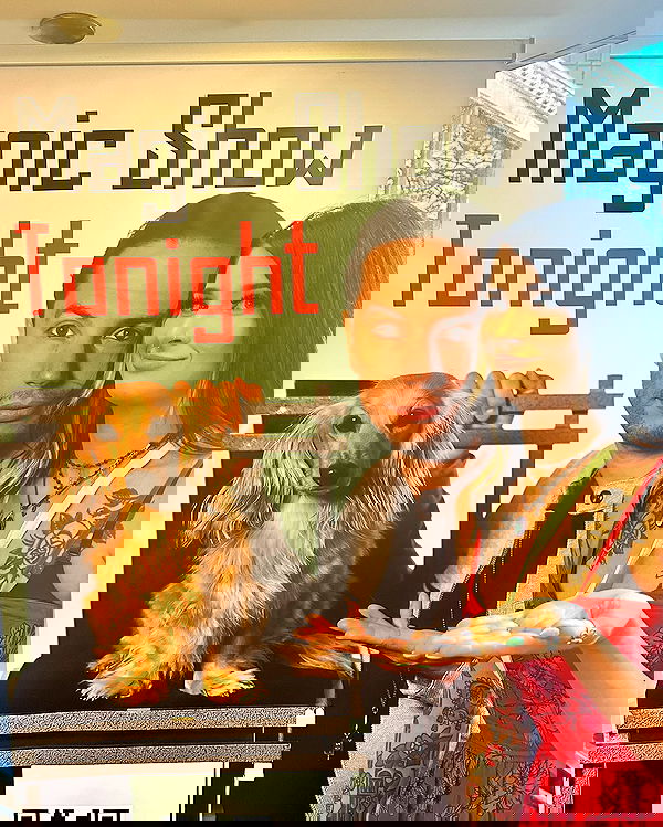 laylafleet1 laylafleet1 archive image