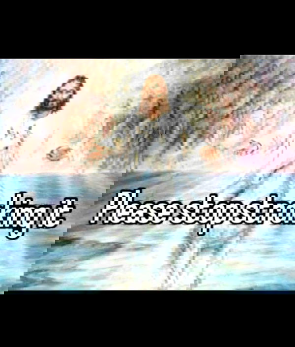 laylafleet1 laylafleet1 archive image