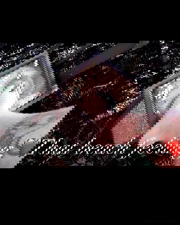 laylafleet1 laylafleet1 archive image