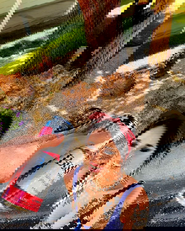 laylafleet1 laylafleet1 archive image