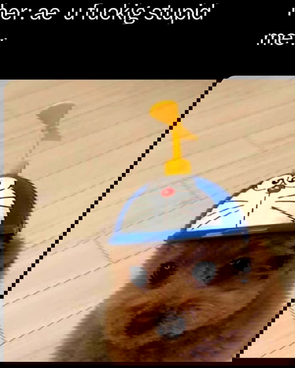 laylafleet1 laylafleet1 archive image