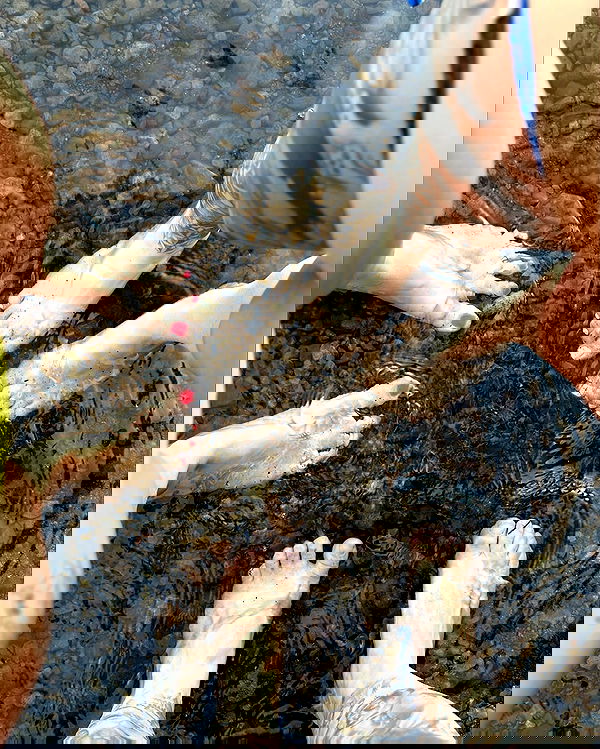 laylafleet1 laylafleet1 archive image