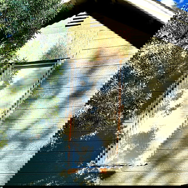 laylafleet1 laylafleet1 archive image