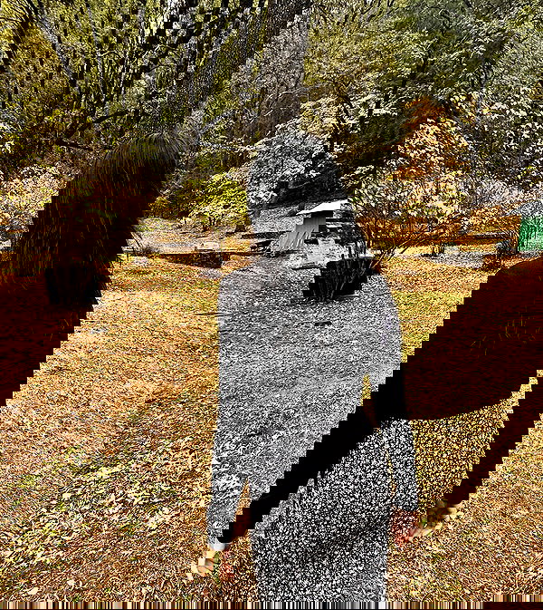 laylafleet1 laylafleet1 archive image