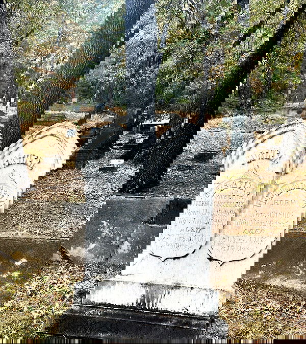 laylafleet1 laylafleet1 archive image