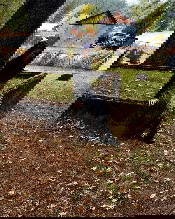 laylafleet1 laylafleet1 archive image