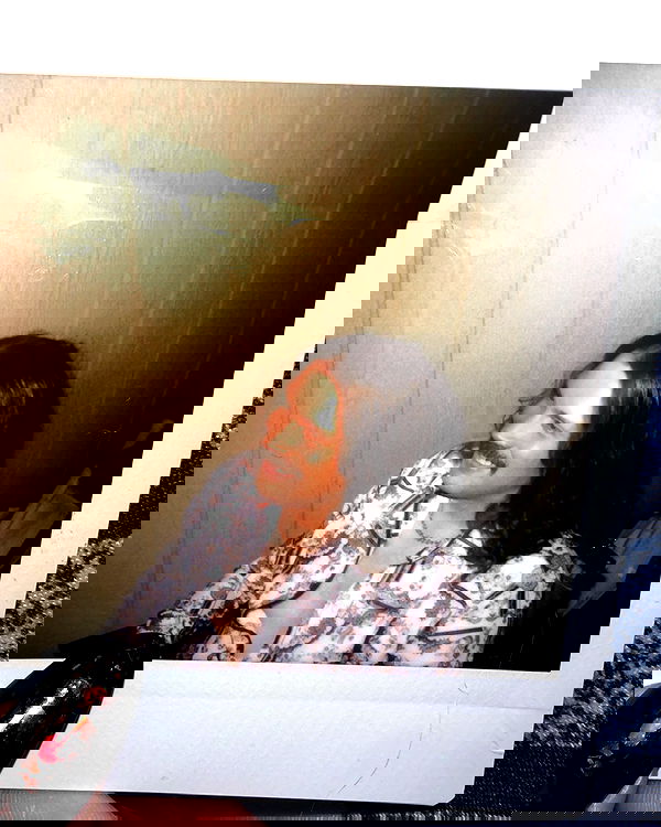 laylafleet1 laylafleet1 archive image