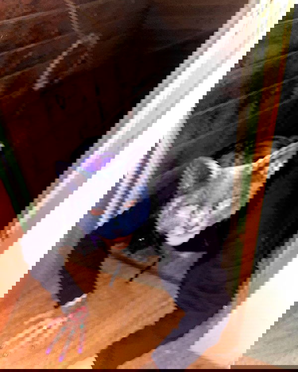 laylafleet1 laylafleet1 archive image