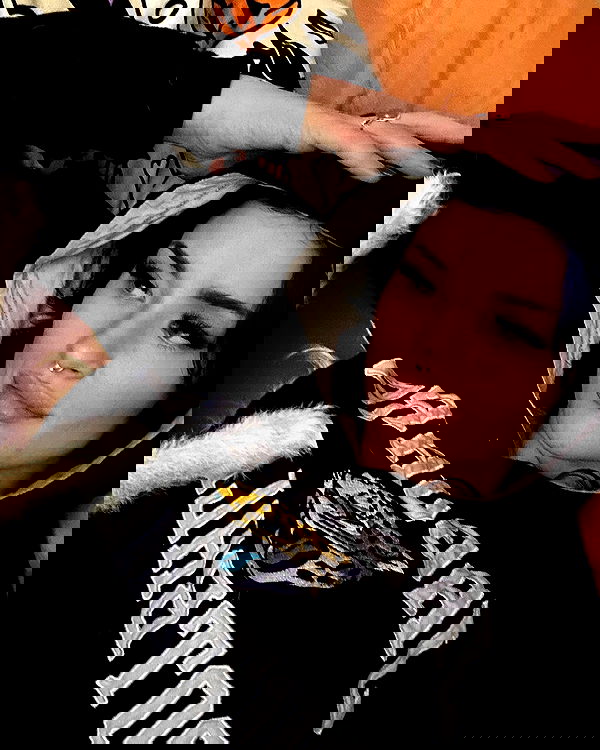 laylafleet1 laylafleet1 archive image