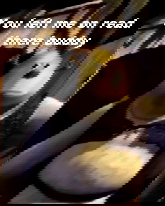 laylafleet1 laylafleet1 archive image