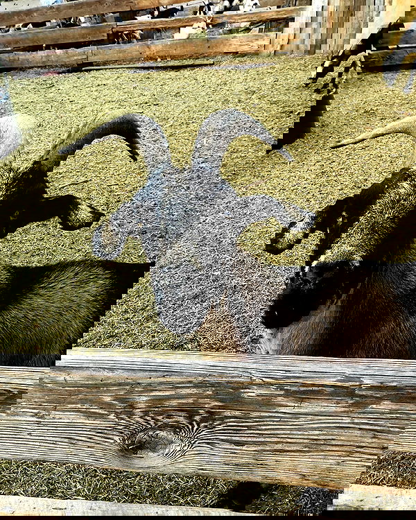 laylafleet1 laylafleet1 archive image