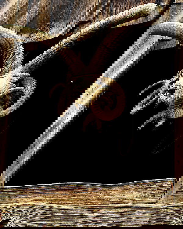 laylafleet1 laylafleet1 archive image