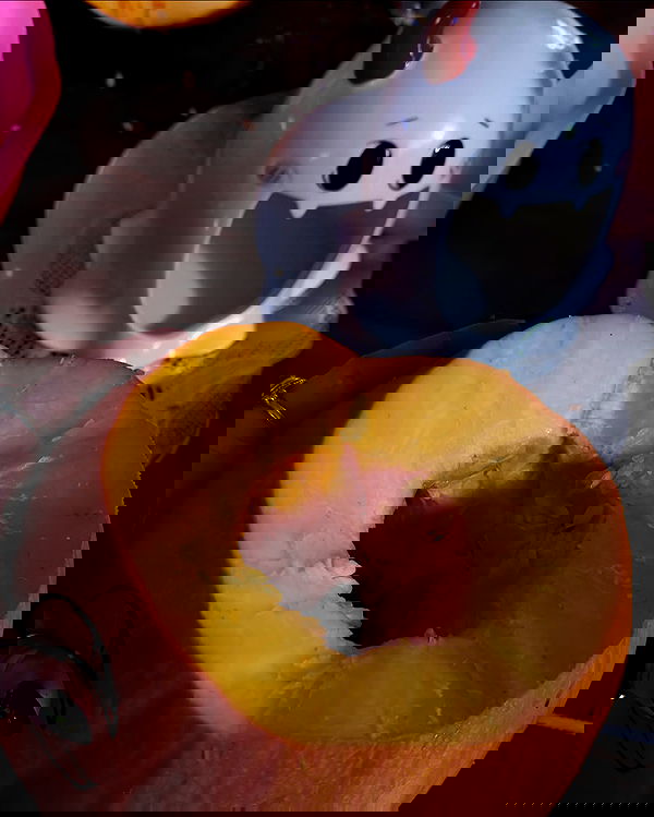 laylafleet1 laylafleet1 archive image