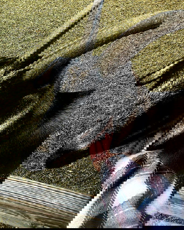 laylafleet1 laylafleet1 archive image