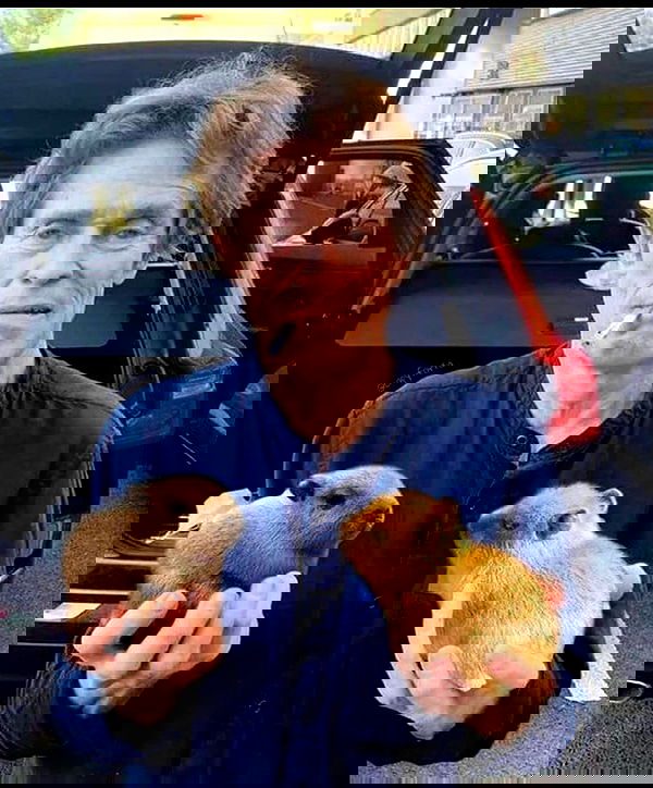 laylafleet1 laylafleet1 archive image