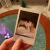 leaandleators Altpins Profile Picture